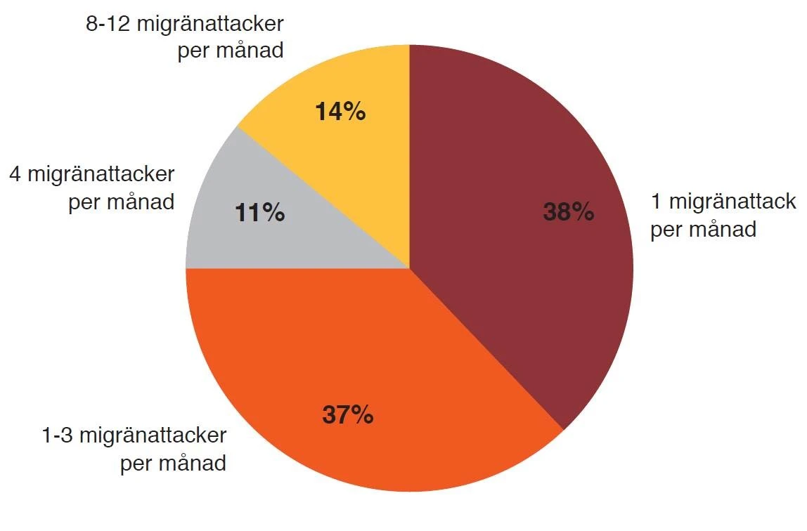 Cirkeldiagram som visar fördelningen av migränattacker från en attack per månad till åtta till tolv attacker per månad. Illustration.